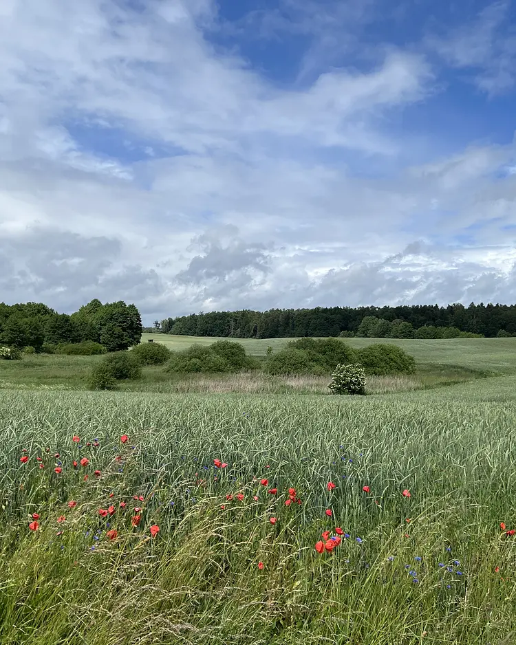 Das Studio Uckermark - Templin, Deutschland | Good Travel