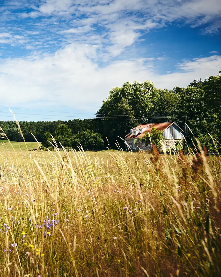 Das Studio Uckermark - Templin, Deutschland | Good Travel