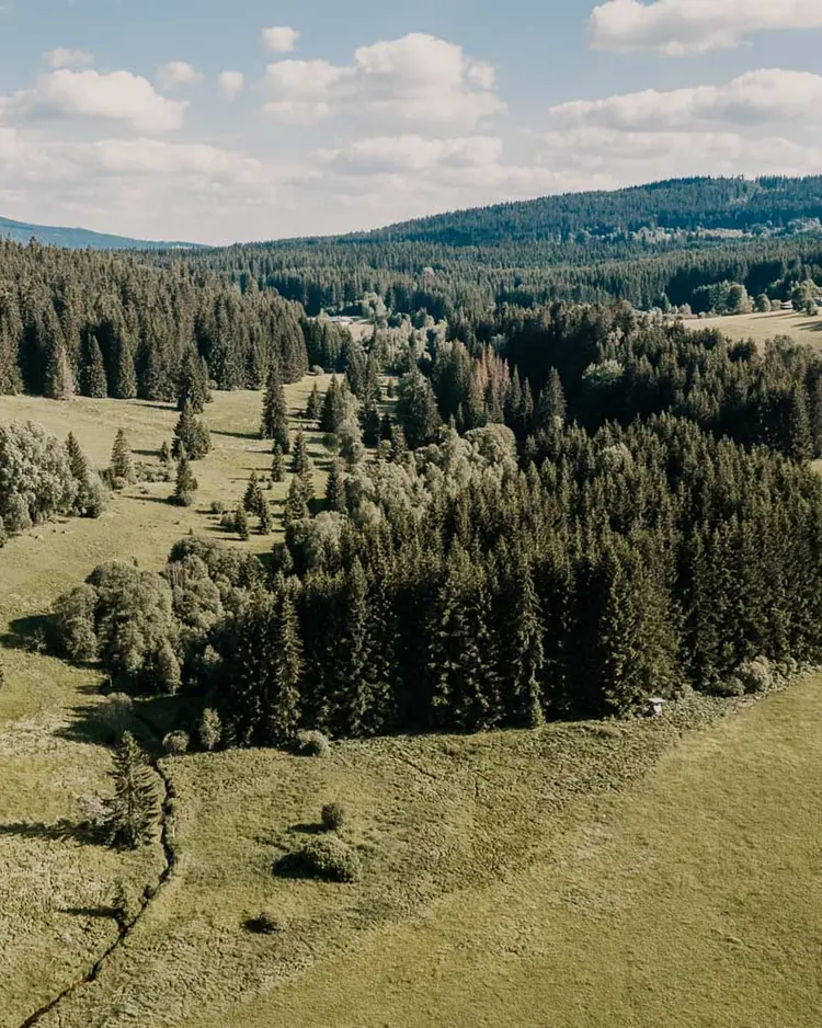 Haidl-Madl - Bischofsreut, Germany | Good Travel