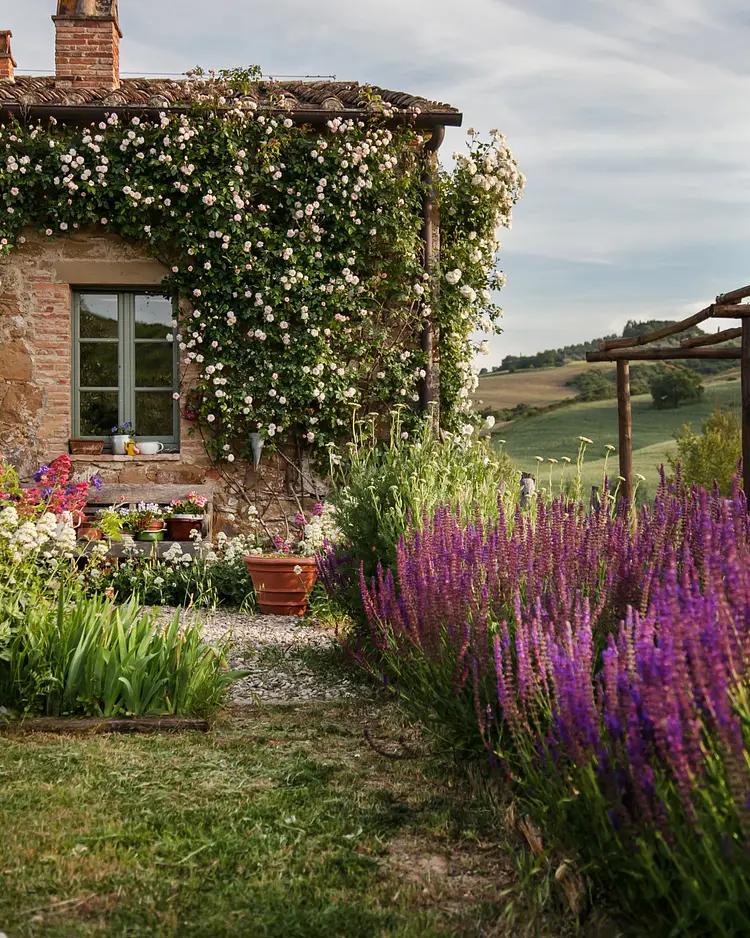 Follonico - Torrita di Siena, Italien | Good Travel