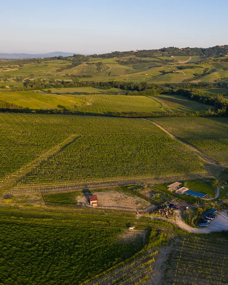 Follonico - Torrita di Siena, Italien | Good Travel