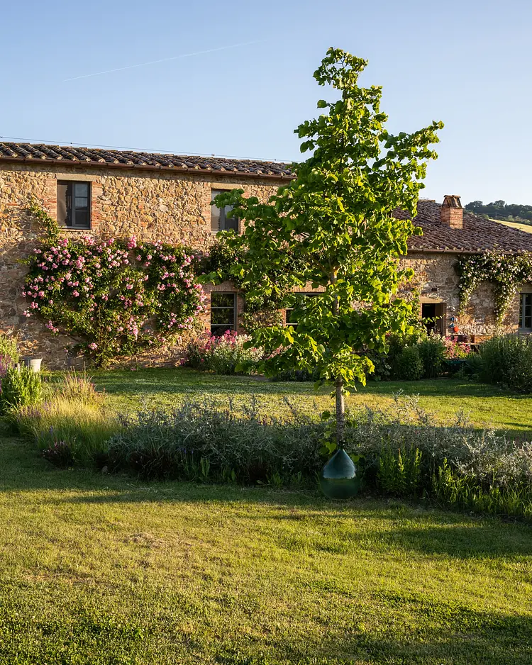Follonico - Torrita di Siena, Italien | Good Travel