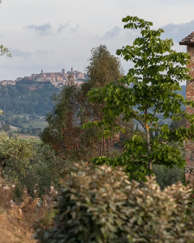 Follonico - Torrita di Siena, Italien | Good Travel