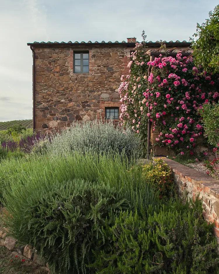 Follonico - Torrita di Siena, Italy | Good Travel