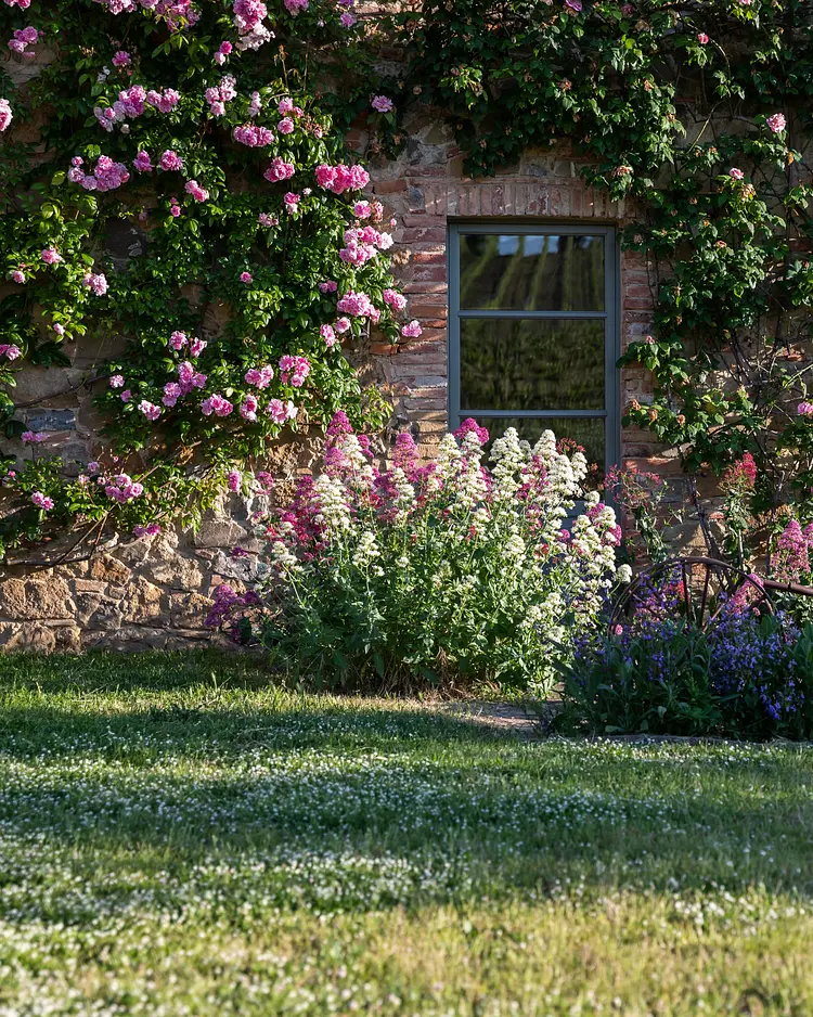 Follonico - Torrita di Siena, Italy | Good Travel