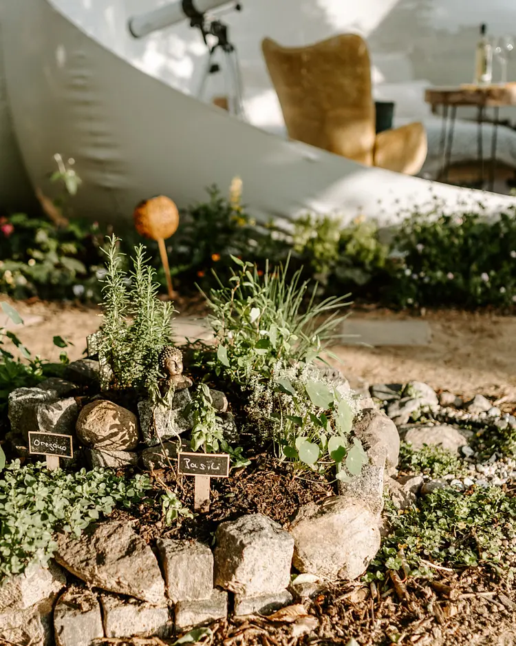 Alpacosi Oase - Zehdenick, Germany | Good Travel