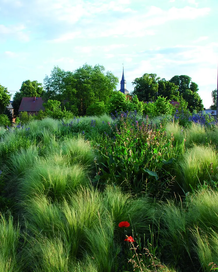 Fuchs und Hase - Nauen, Deutschland | Good Travel