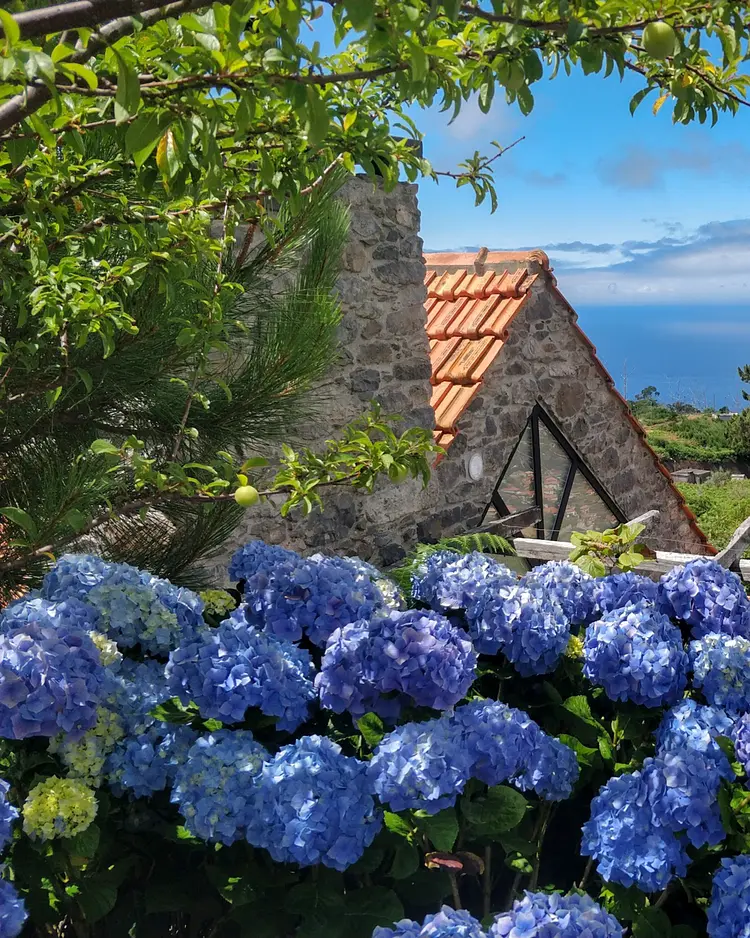 Achadinha - Arco da Calheta, Portugal | Good Travel