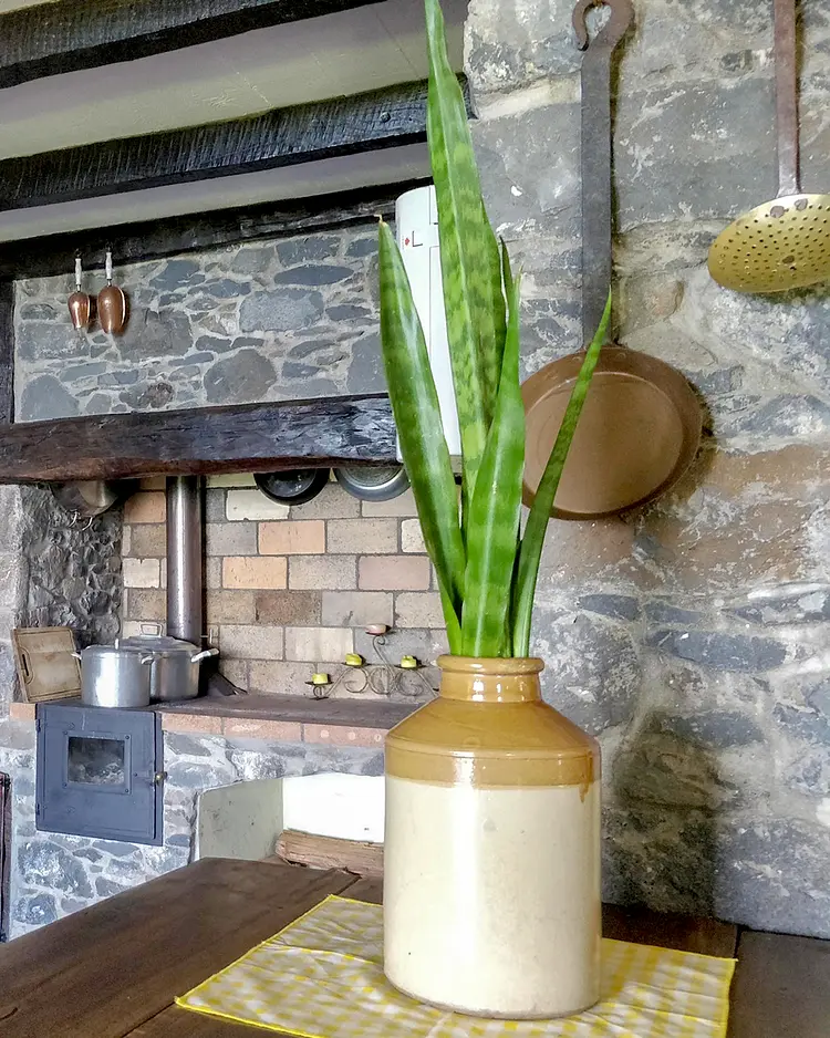 Achadinha - Arco da Calheta, Portugal | Good Travel