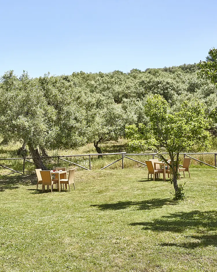 I Moresani - Casal Velino, Italy | Good Travel