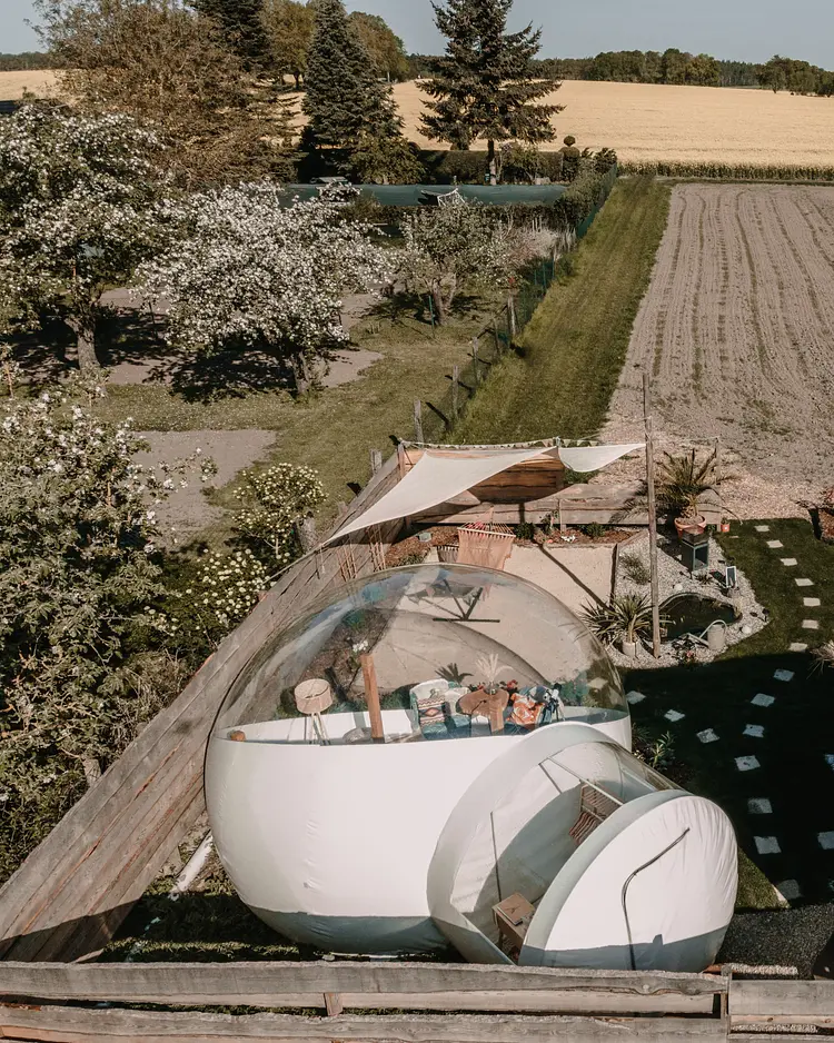 Alpacosi Oase - Zehdenick, Germany | Good Travel