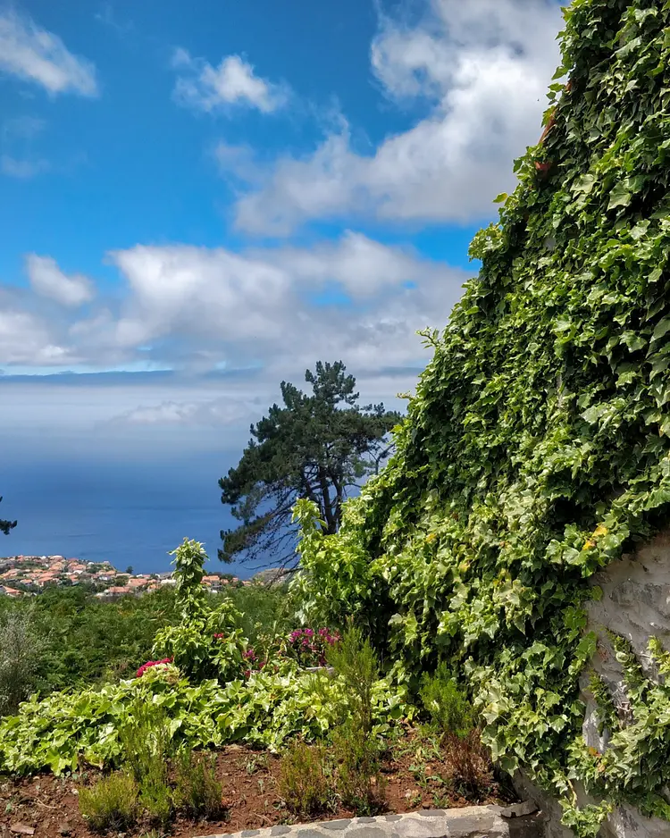 Achadinha - Arco da Calheta, Portugal | Good Travel
