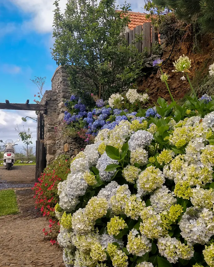 Achadinha - Arco da Calheta, Portugal | Good Travel