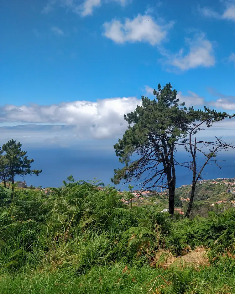 Achadinha - Arco da Calheta, Portugal | Good Travel