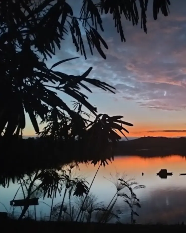 Ilha da Tartaruga - Mértola, Portugal | Good Travel
