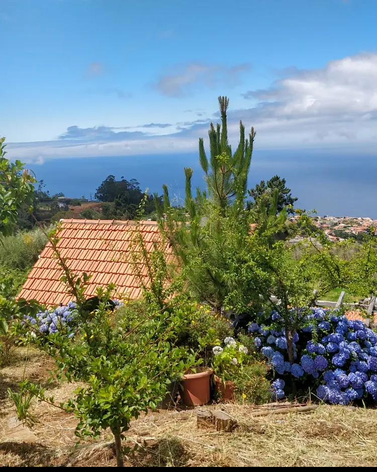 Achadinha - Arco da Calheta, Portugal | Good Travel