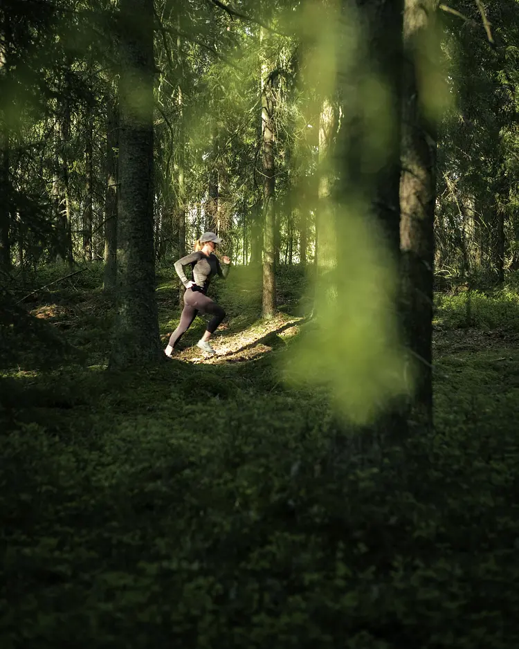 INFOREST - Hjo, Schweden | Good Travel