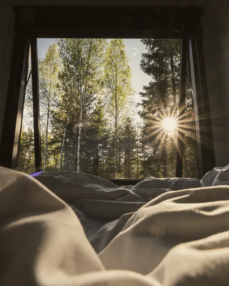 INFOREST - Hjo, Schweden | Good Travel