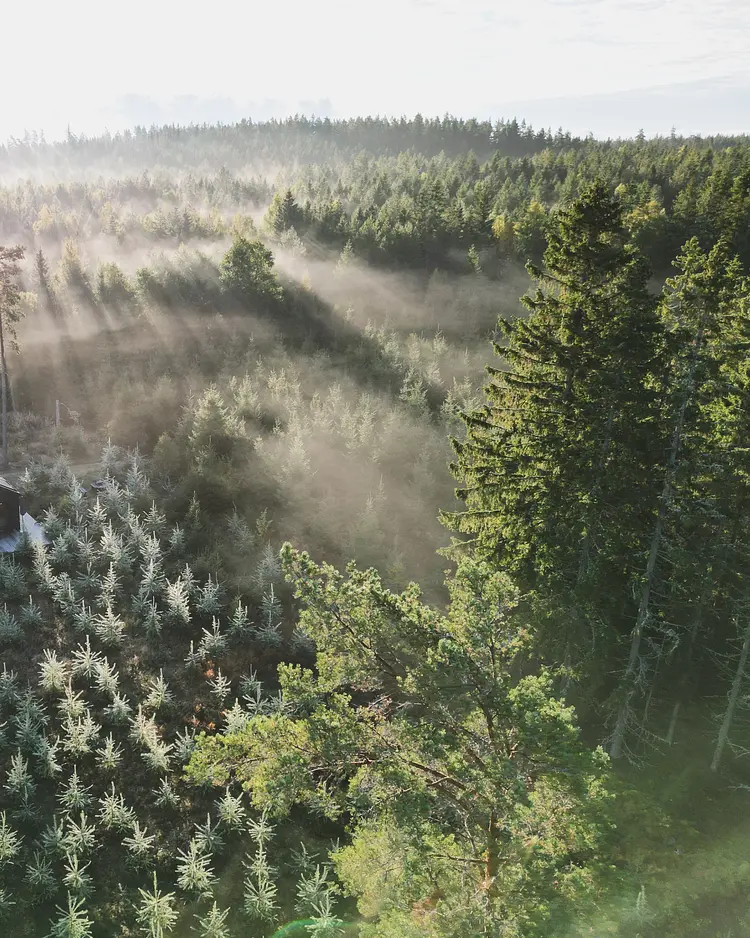 INFOREST - Hjo, Schweden | Good Travel