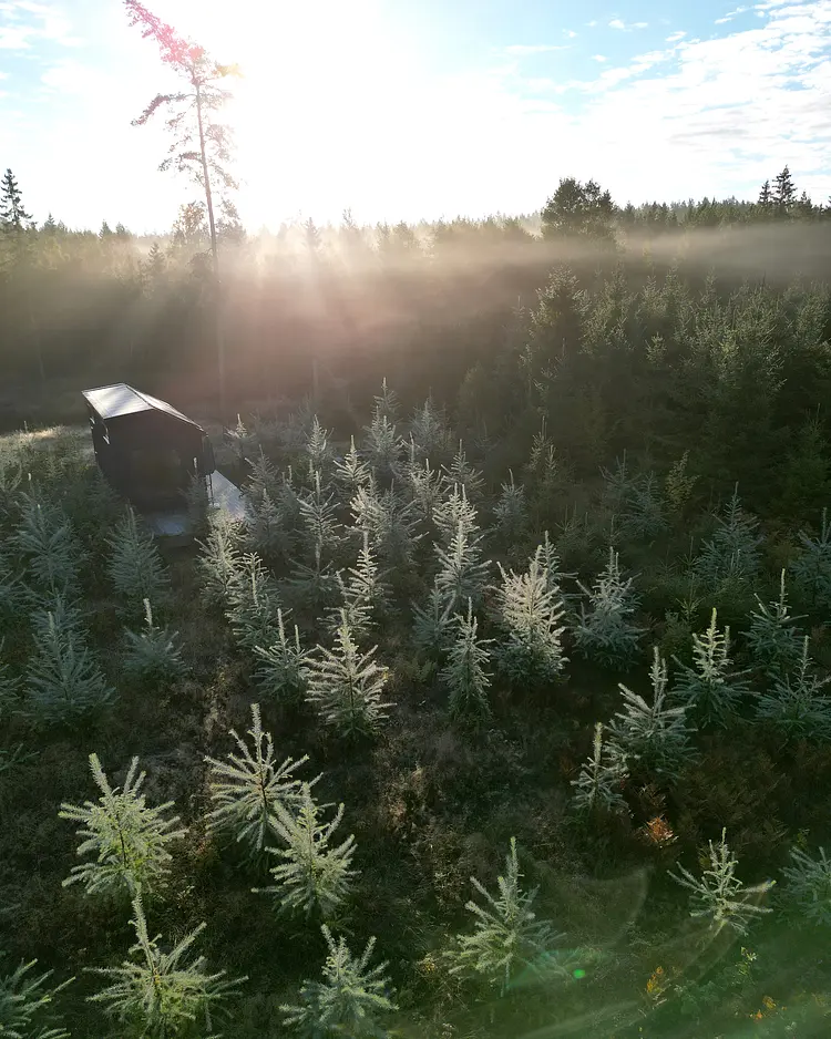 INFOREST - Hjo, Schweden | Good Travel