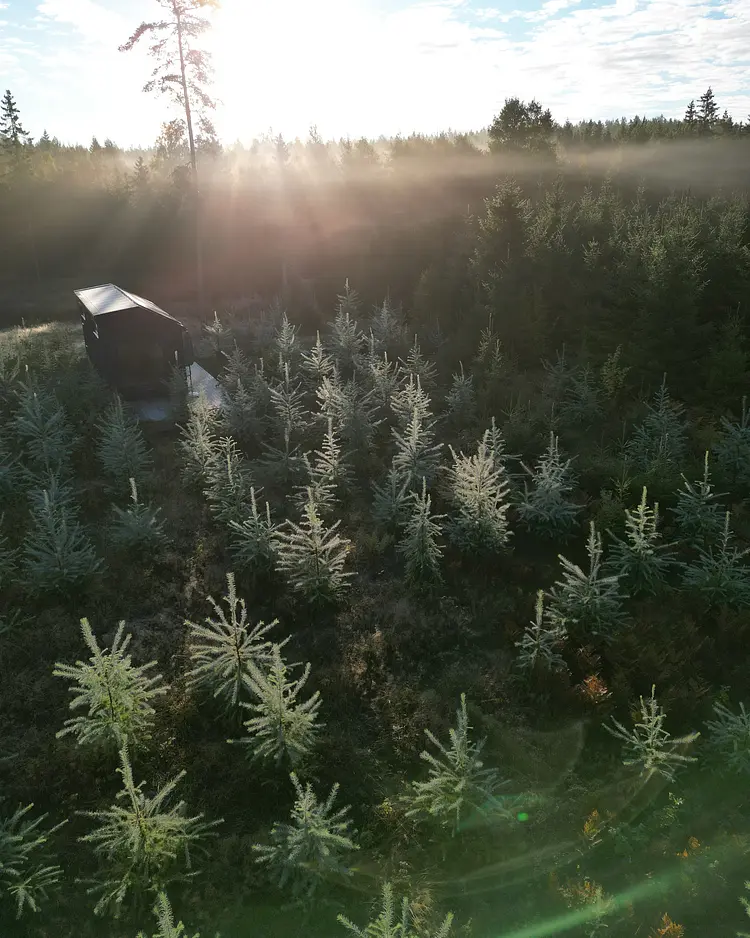 INFOREST - Hjo, Sweden | Good Travel