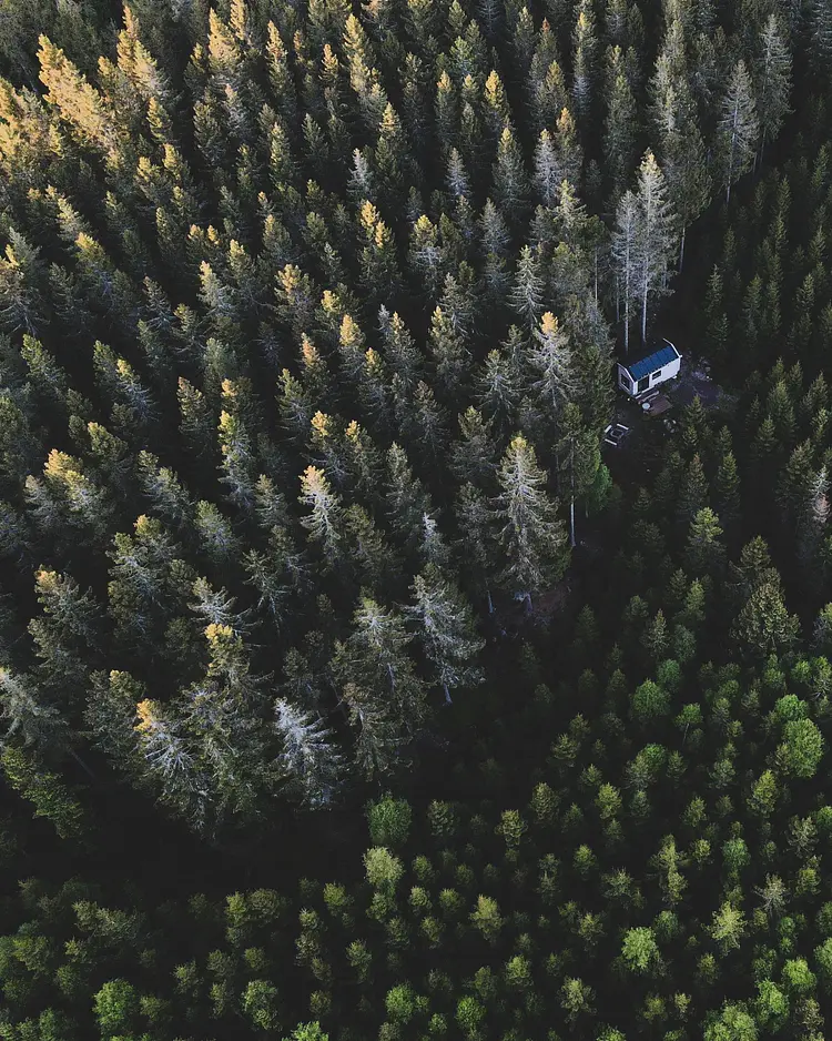INFOREST - Hjo, Schweden | Good Travel