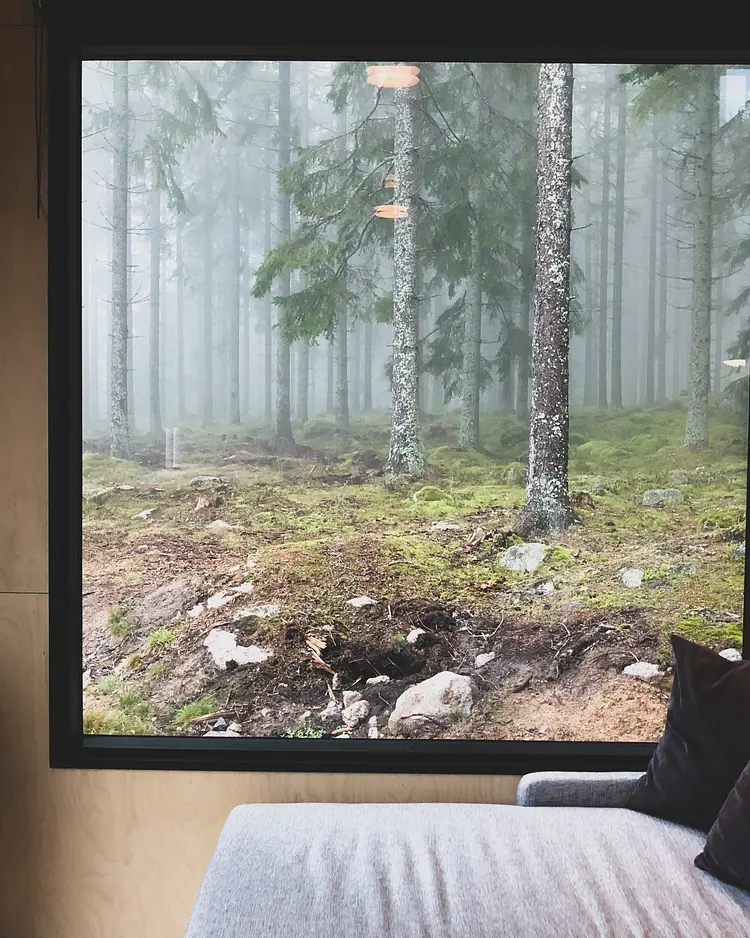 INFOREST - Hjo, Schweden | Good Travel