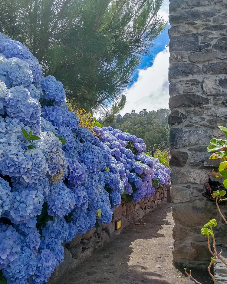 Achadinha - Arco da Calheta, Portugal | Good Travel