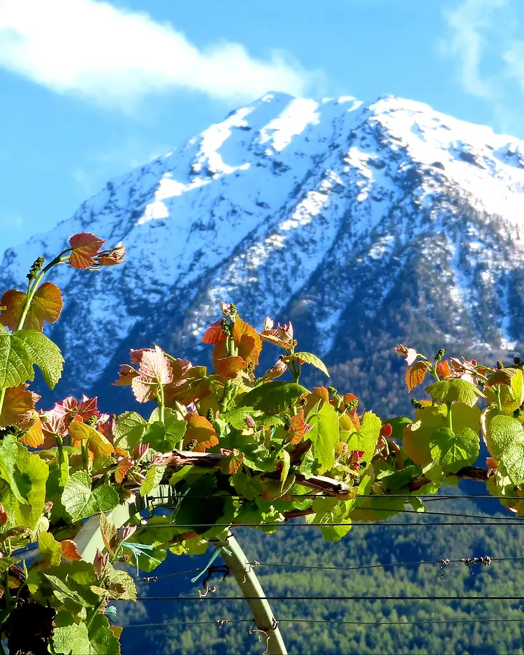 La Vrille - Verrayes, Italien | Good Travel
