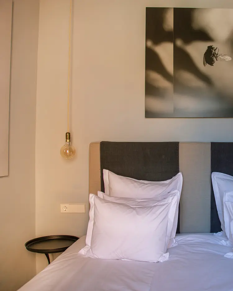 Ecocirer Healthy Stay - Soller (Mallorca), Spain | Good Travel