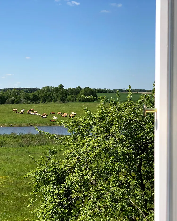 Das Studio Uckermark - Templin, Deutschland | Good Travel