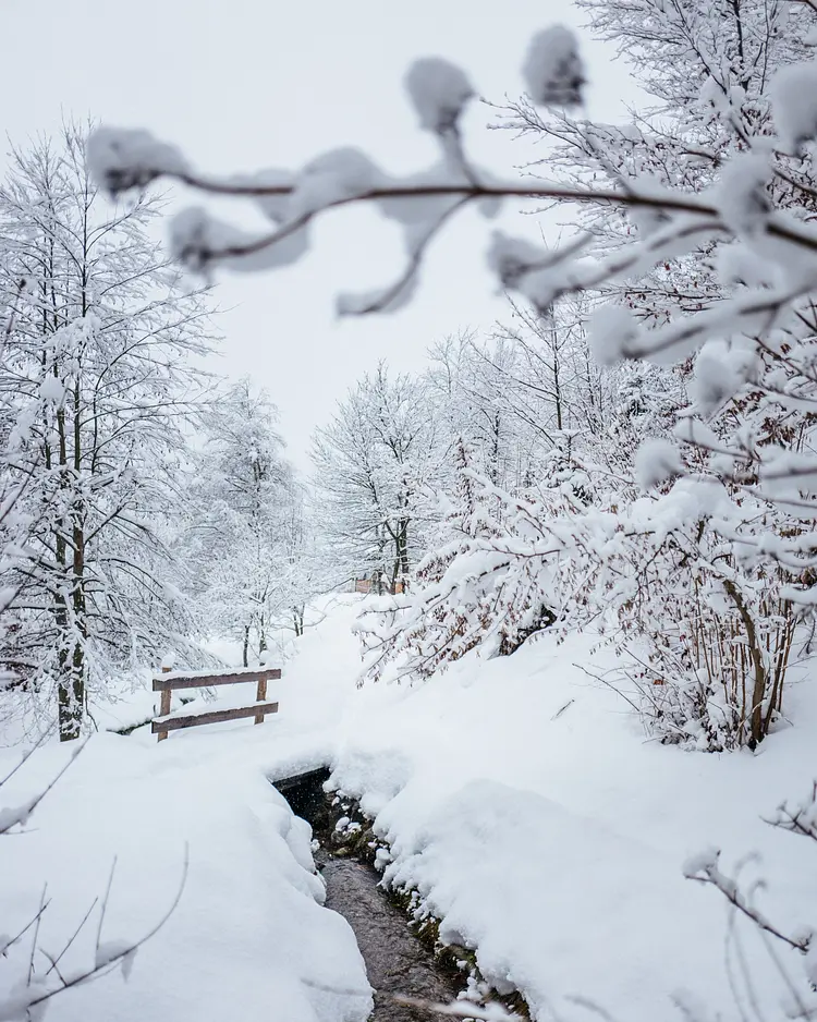 der daberer. das biohotel - Dellach im Gailtal, Austria | Good Travel