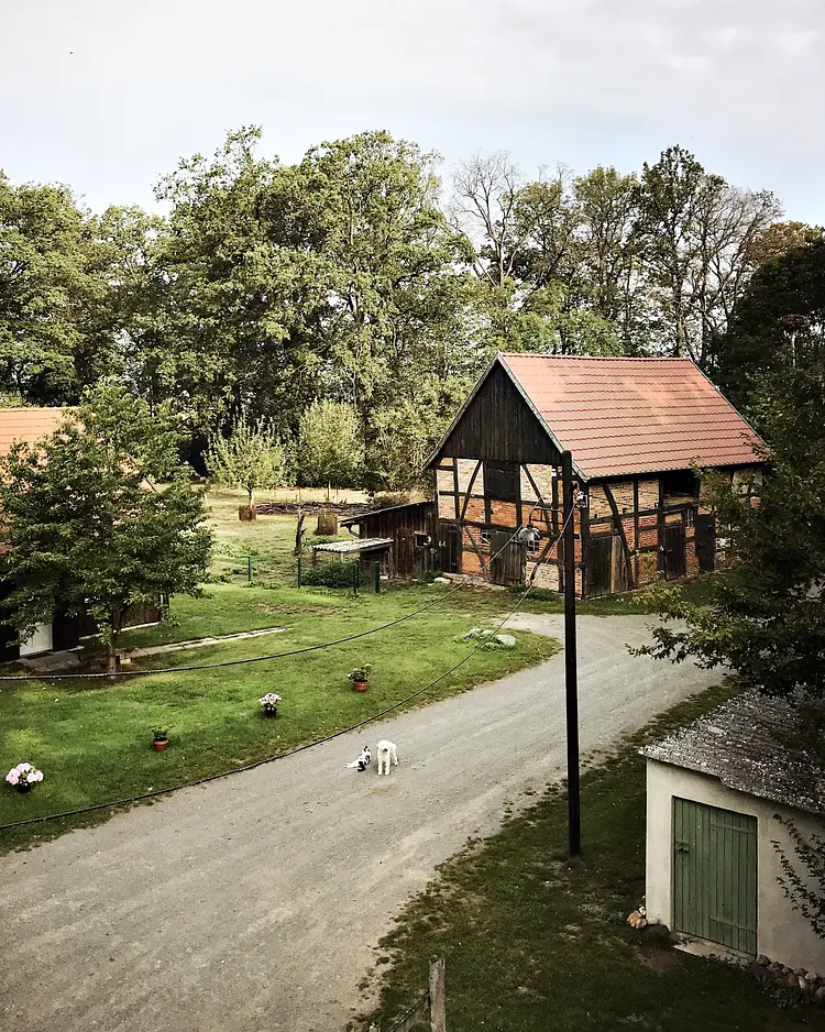 Elbeglück - Mödlich, Deutschland | Good Travel