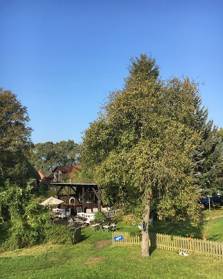 Elbeglück - Mödlich, Deutschland | Good Travel