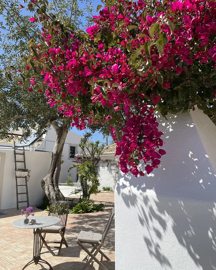 Estrella Montés - Boliqueime, Portugal | Good Travel