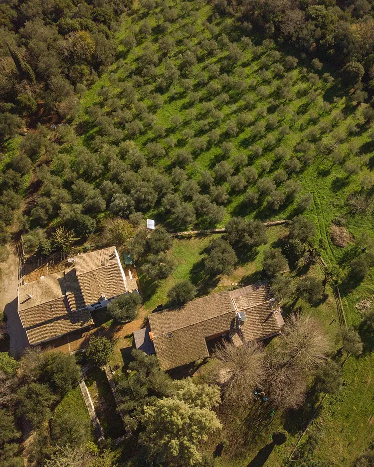 Dr Kavvadia's Farm - Tzavros, Griechenland | Good Travel