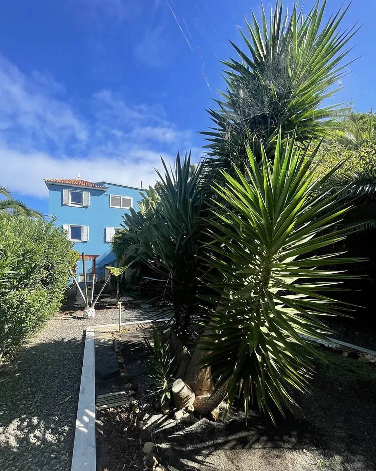 Casita Ayurveda - Icod de los Vinos (Teneriffa), Spanien | Good Travel