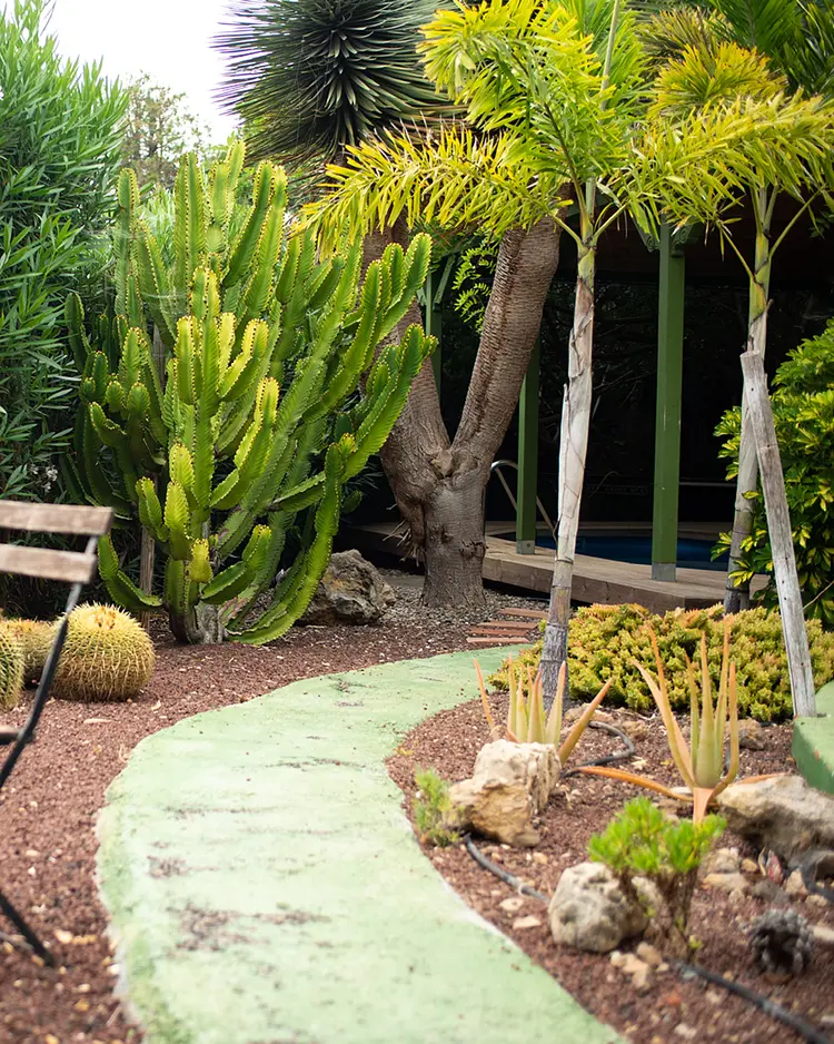 Casita Ayurveda - Icod de los Vinos (Teneriffa), Spanien | Good Travel