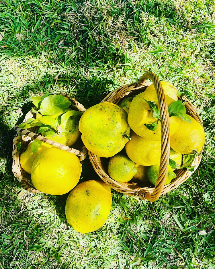 Casita Ayurveda - Icod de los Vinos (Teneriffa), Spanien | Good Travel