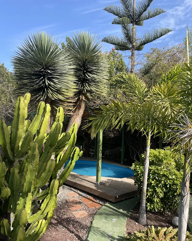 Casita Ayurveda - Icod de los Vinos (Teneriffa), Spanien | Good Travel