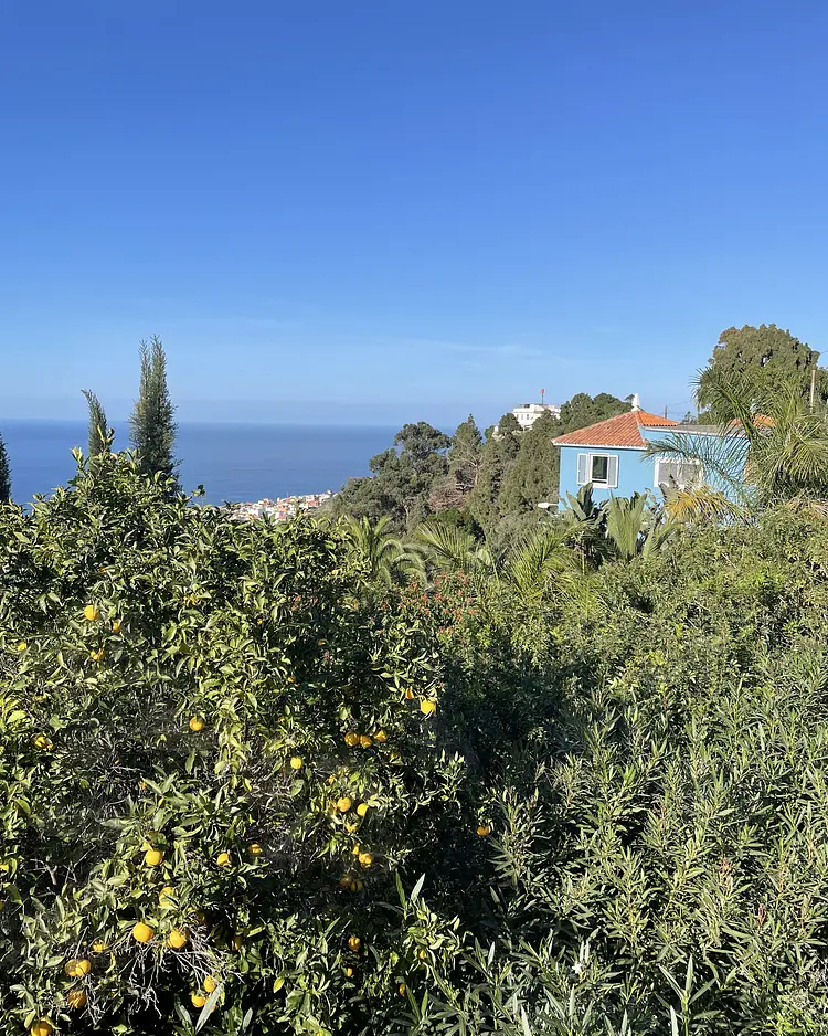 Casita Ayurveda - Icod de los Vinos (Teneriffa), Spanien | Good Travel