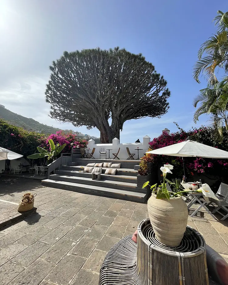 Casita Ayurveda - Icod de los Vinos (Teneriffa), Spanien | Good Travel