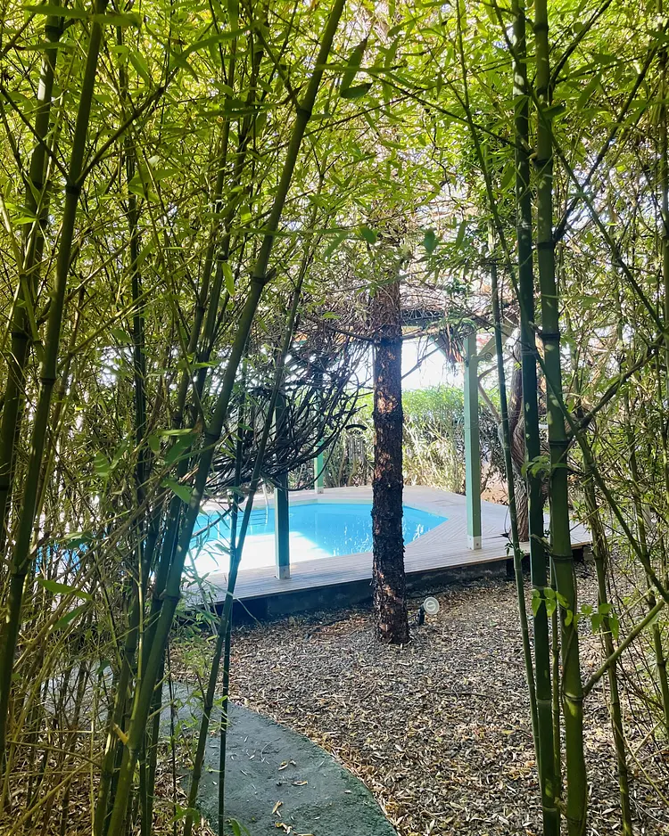 Casita Ayurveda - Icod de los Vinos (Teneriffa), Spanien | Good Travel