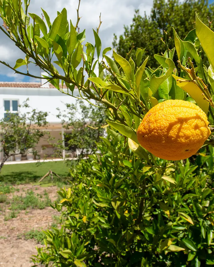 Ermita del Carmen - Carcabuey, Spanien | Good Travel
