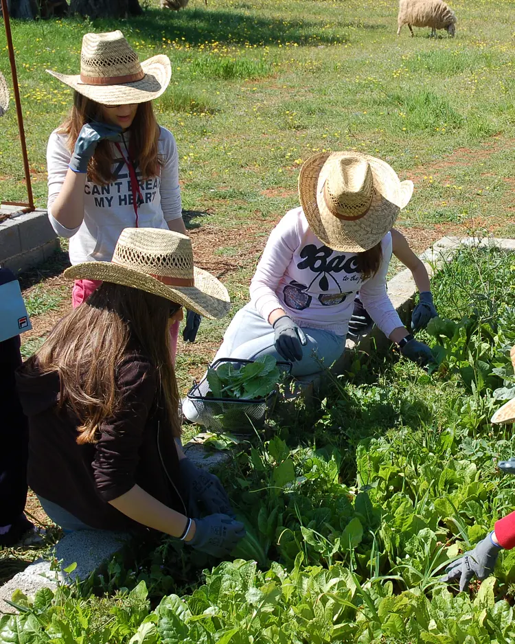Eumelia Organic Farm - Laconia, Griechenland | Good Travel