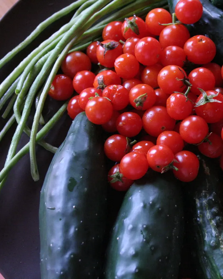 Eumelia Organic Farm - Laconia, Griechenland | Good Travel