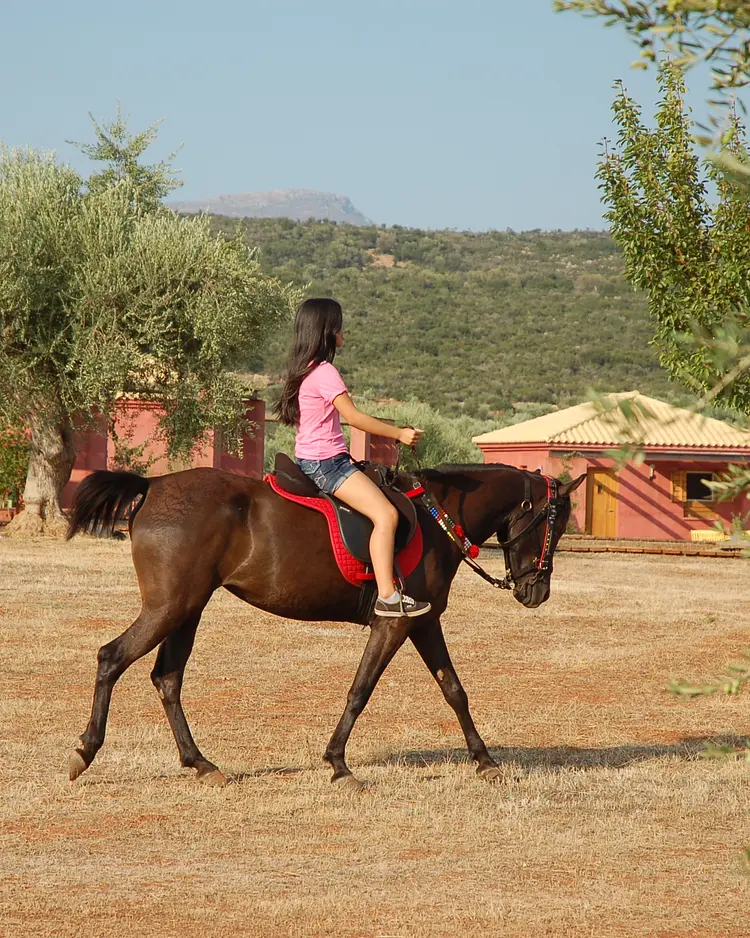 Eumelia Organic Farm - Laconia, Griechenland | Good Travel