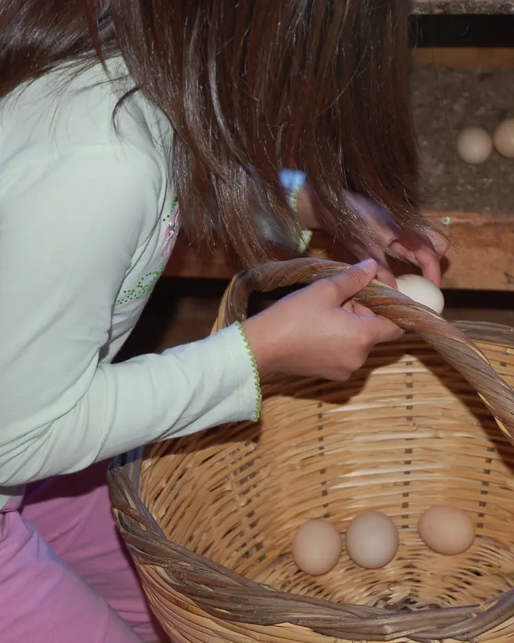 Eumelia Organic Farm - Laconia, Griechenland | Good Travel
