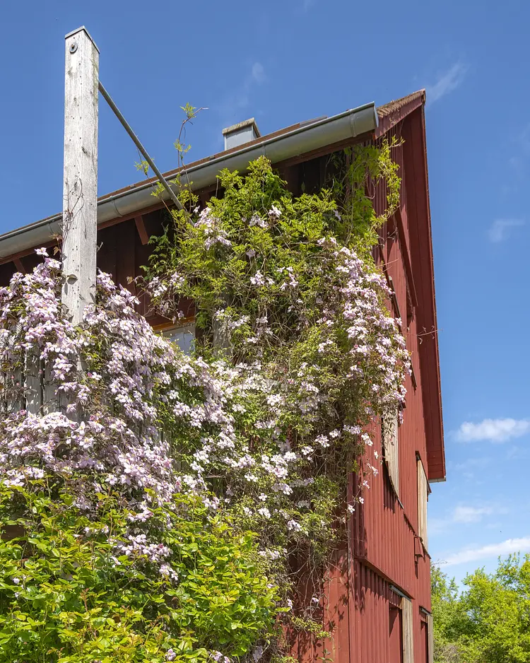 Apfelgarten Usedom - Reetzow, Germany | Good Travel