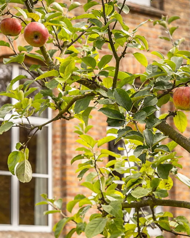 Alte Schule Stegelitz - Uckermark, Deutschland | Good Travel